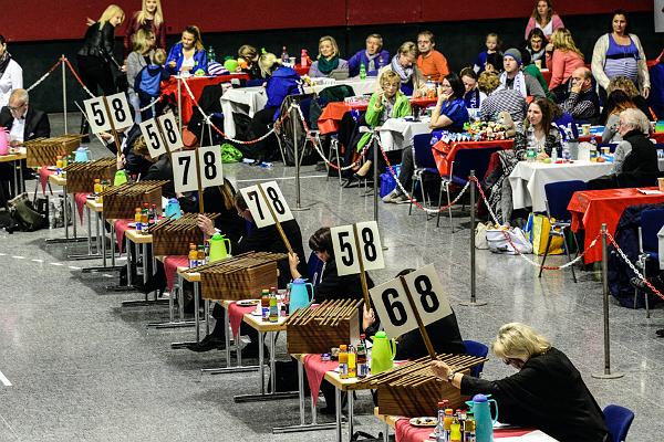 20151121Tanztunier der Karnevalisten __16.jpg - Sa. 21.11.2015,Hannover (Foto:Herbert Frost)